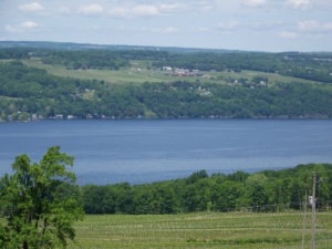 Finger Lakes Dairy Farm